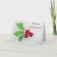"Holly" Sea Glass on Snow - Inclusive