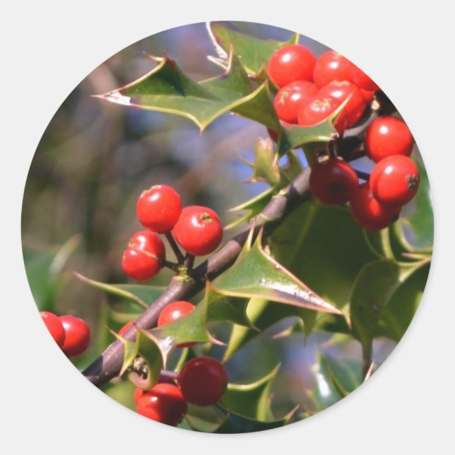 Holly Stickers (Front)