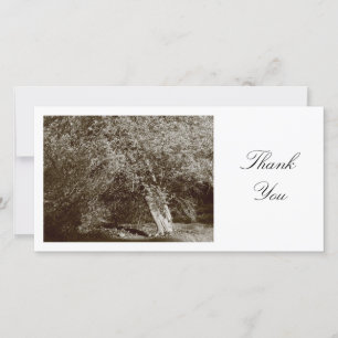 Holly Tree - Sepia - Thank You Card
