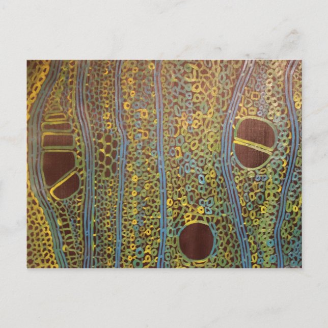 Holly under a microscope - Postcard by Joanne Case (Front)