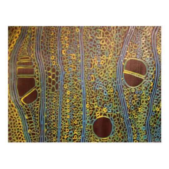 Holly under a microscope - Postcard by Joanne Case