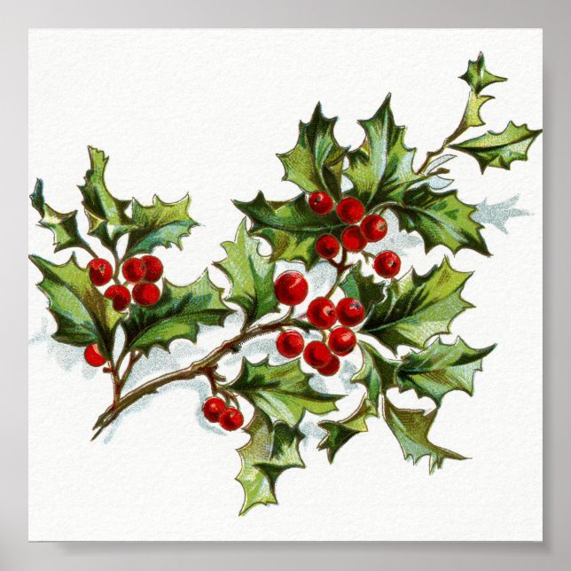 HollyBerries20150801 Poster (Front)