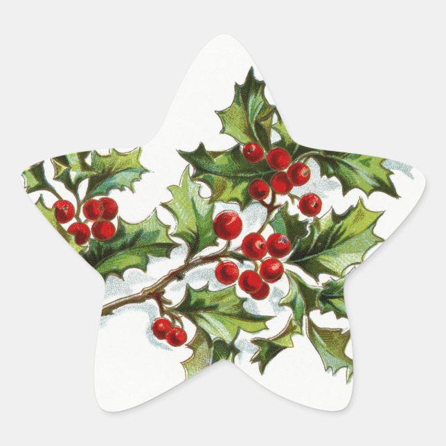 HollyBerries20150801 Star Sticker (Front)