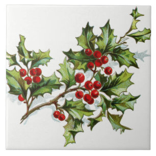 HollyBerries20150801 Tile