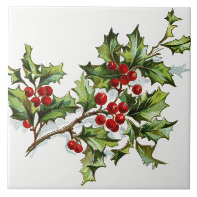 HollyBerries20150801 Tile (Front)