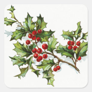 HollyBerries20150802 Square Sticker