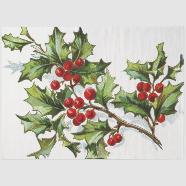 HollyBerries20150802 Tissue Paper (Front)