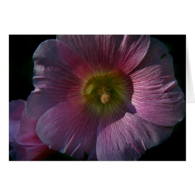 Hollyhock (Devant horizontal)
