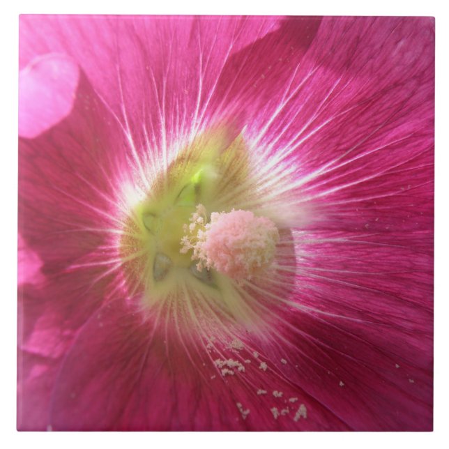 Hollyhock Deep Pink Tile (Front)