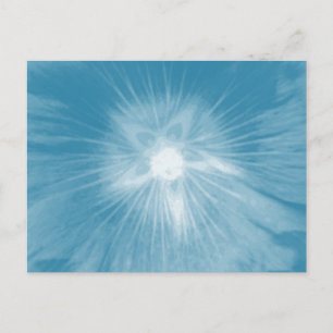 Hollyhock Flower Icy Blue Postcard
