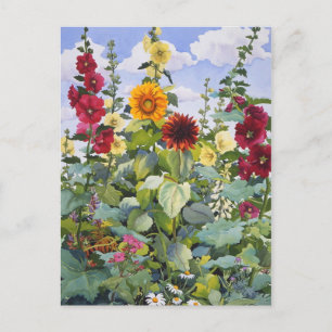 Hollyhocks and Sunflowers 2005 Postcard
