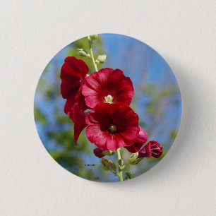 Hollyhocks button