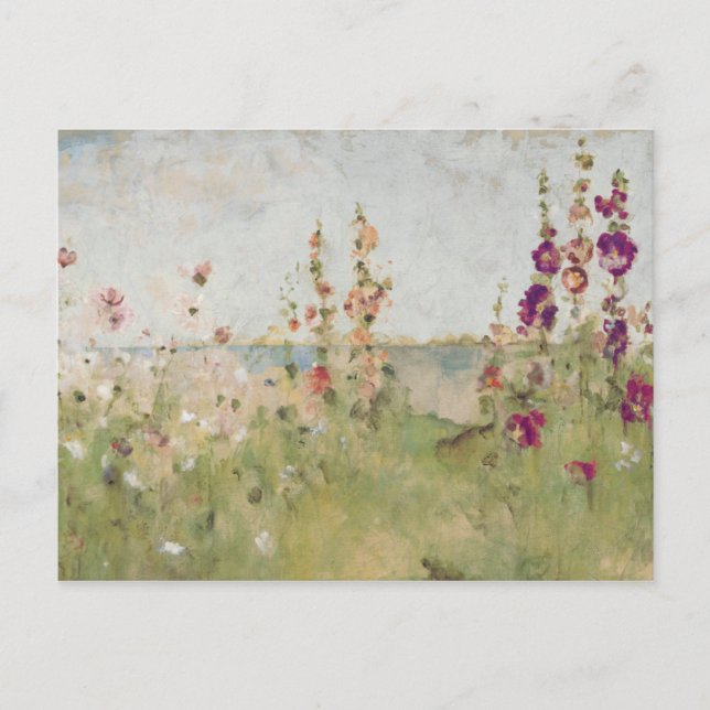Hollyhocks by the Sea Postcard (Front)