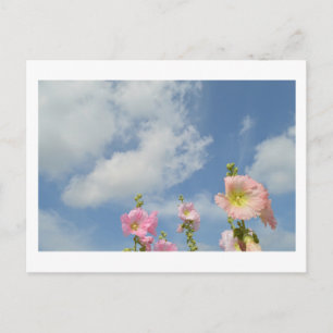 Hollyhocks: Japan Postcard