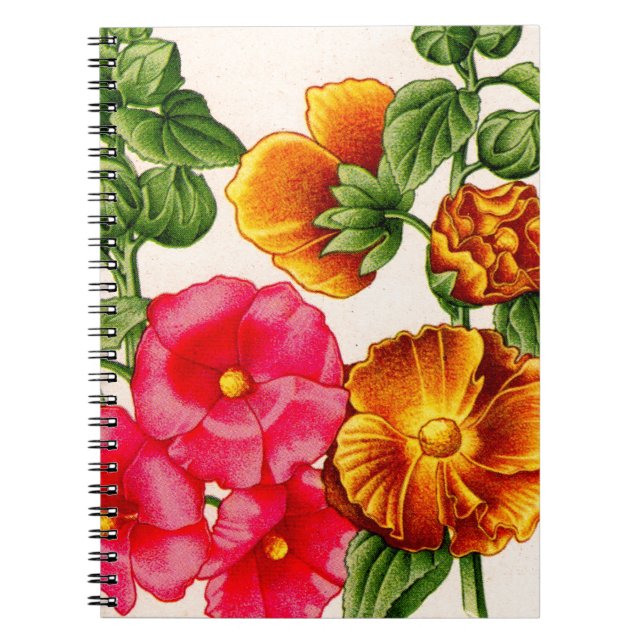 hollyhocks notebook (Front)