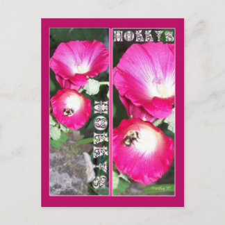 HOLLYS BOOKMARKS POSTCARD