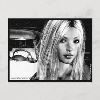 Hollywood Nights Postcard