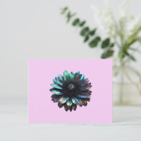Holographic Iridescent Black Dahlia