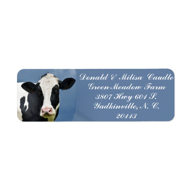 HOLSTEIN (Devant)