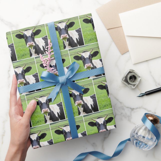 Holstein Bull In Green Pasture Wrapping Paper (Gifting)