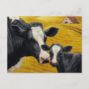 Holstein Cow and Calf with Old Wood Barn Postcard