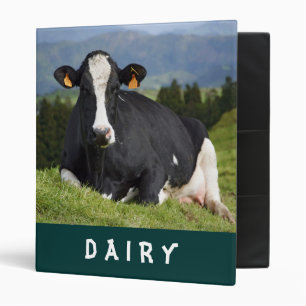 Holstein cow binder