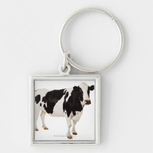 Holstein cow (Bos taurus) Keychain