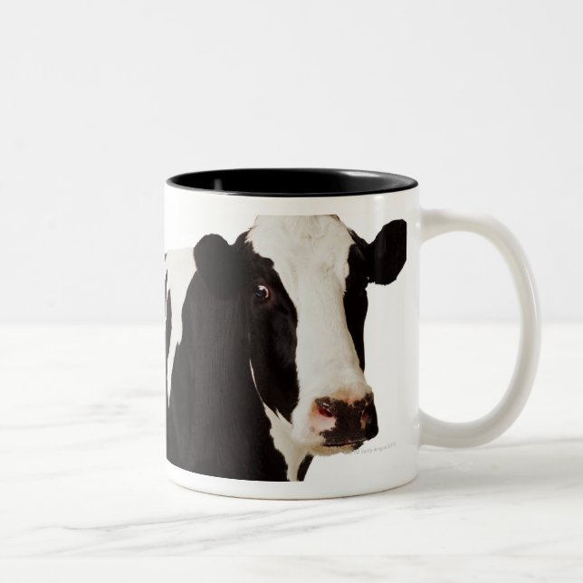 Holstein Cow | Bos taurus Two-Tone Coffee Mug (Right)