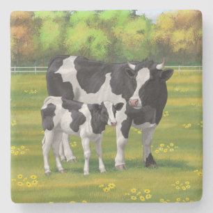 Holstein Cow & Cute Calf in Summer Pasture Stone Coaster