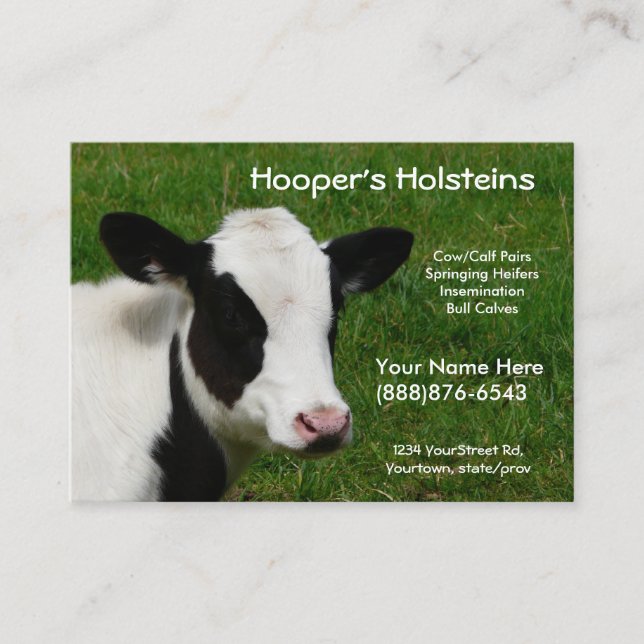 Holstein Cow Dairy Cattle Ranch Business Card (Front)