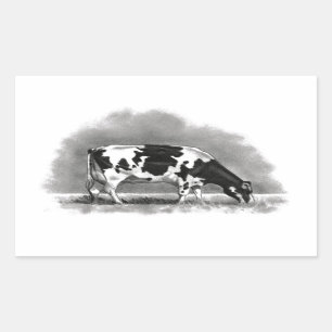 Holstein Cow Grazing: Realism Pencil Drawing Sticker