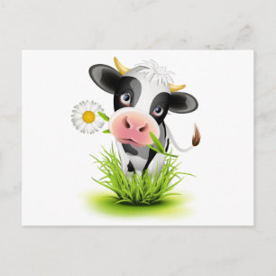 Holstein cow in grass postcard