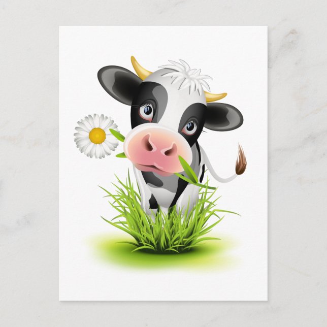 Holstein cow in grass postcard (Front)