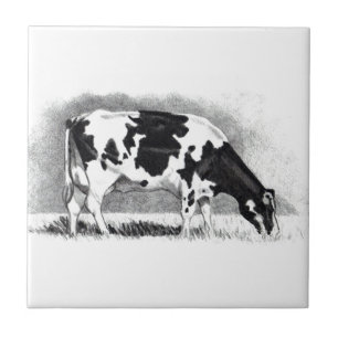 Holstein Cow: Pencil Drawing: Farm, Country Tile