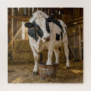 Holstein Cow Standing in a Rusty Bucket Jigsaw Puzzle