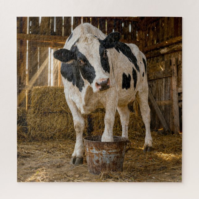 Holstein Cow Standing in a Rusty Bucket Jigsaw Puzzle (Vertical)