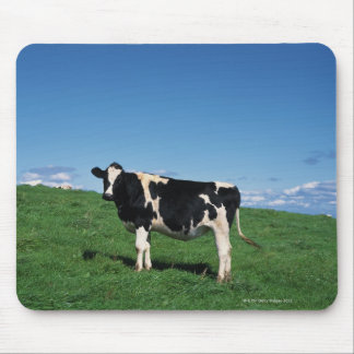 Holstein cow standing in field, Bekkai-Machi, Mouse Pad