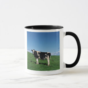 Holstein cow standing in field, Bekkai-Machi, Mug