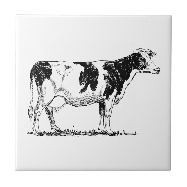 Holstein Cow Tile (Front)