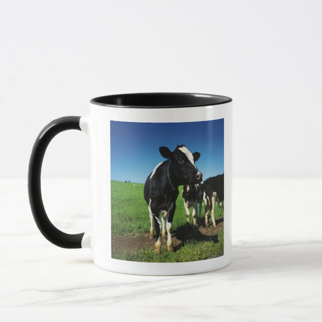 Holstein cows in a field mug (Left)