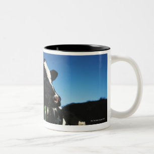 Holstein cows in a field Two-Tone coffee mug