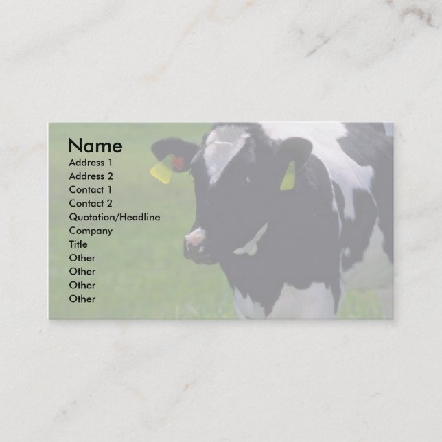 Holstein Dairy Cattle Business Card (Front)