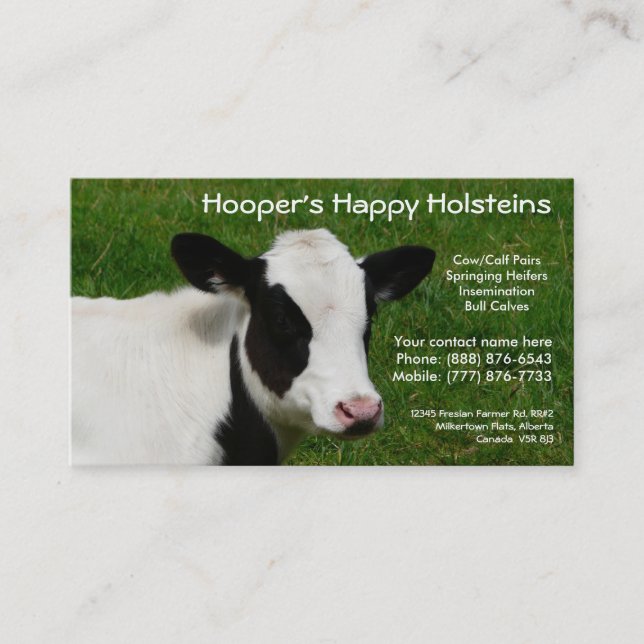 Holstein Dairy Cow Cattle Ranch Business Card (Front)