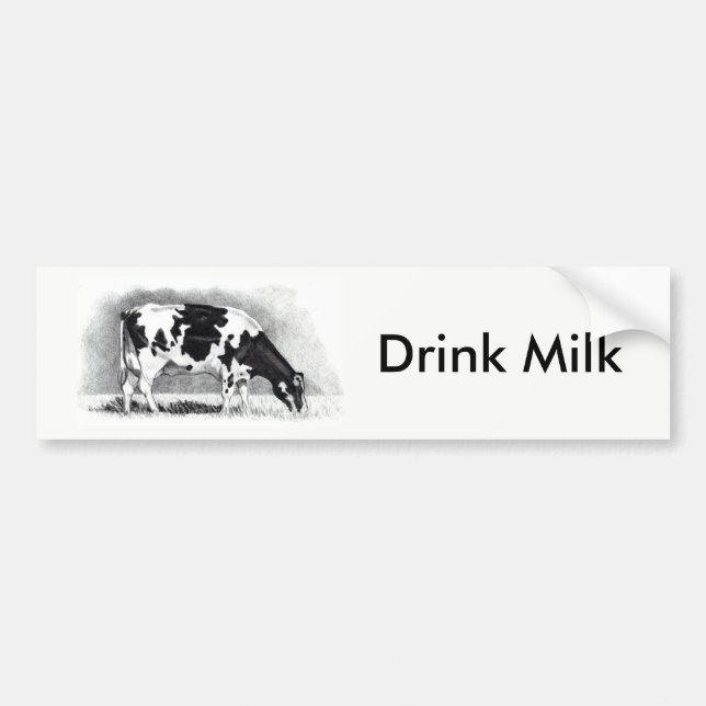 Holstein Dairy Cow: Pencil Drawing: Drink Milk Bumper Sticker (Front)