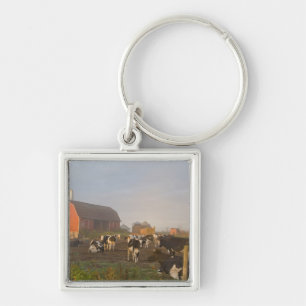 Holstein dairy cows outside a barn at sunrise keychain