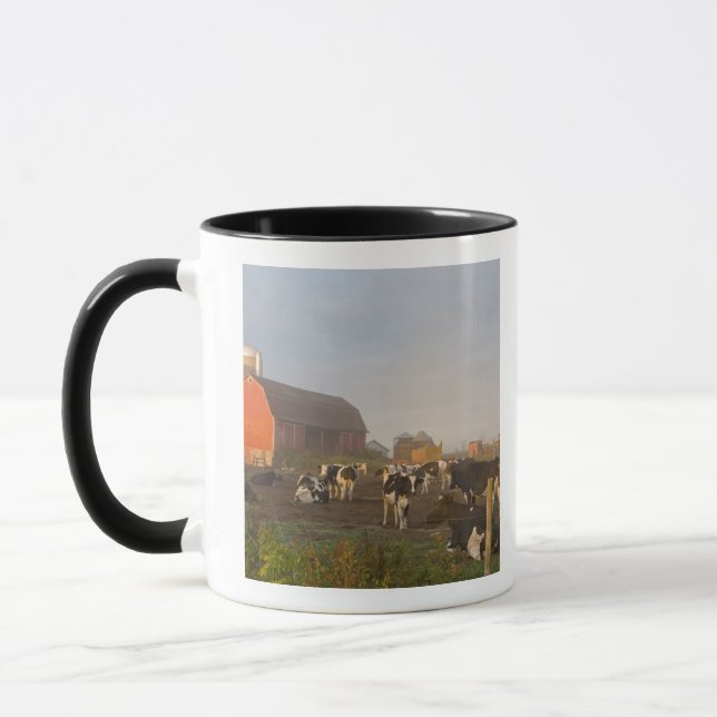 Holstein dairy cows outside a barn at sunrise mug (Left)