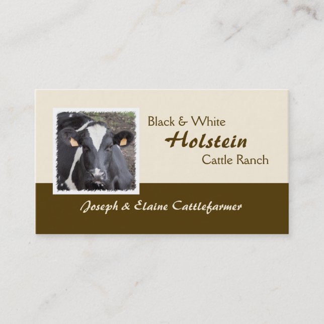 Holstein dairy or beef cattle photo business card (Front)