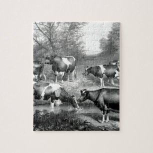 Holstein fresian cows fresian cows jigsaw puzzle