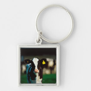 Holstein-Friesian calf Keychain