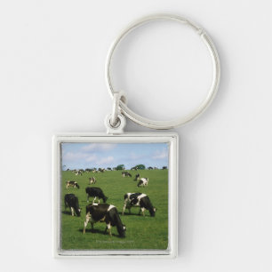 Holstein-Friesian cattle, Ireland Keychain